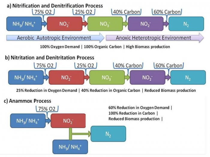 ânitrogen removalâçå¾çæç´¢ç»æ